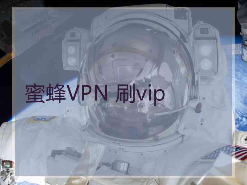蜜蜂VPN 刷vip