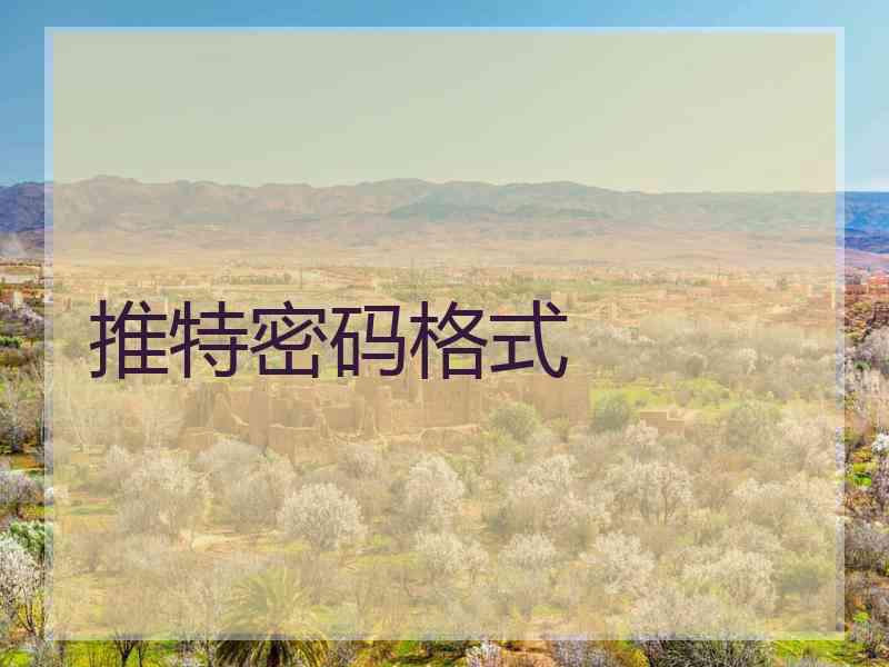 推特密码格式