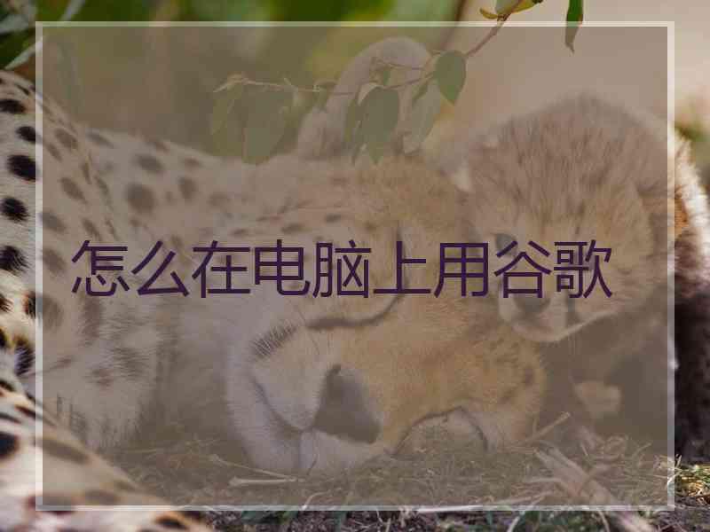 怎么在电脑上用谷歌