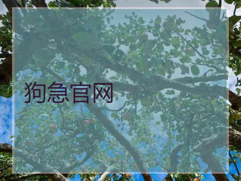 狗急官网