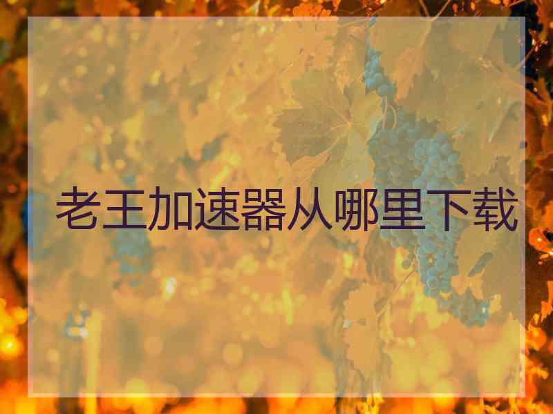 老王加速器从哪里下载