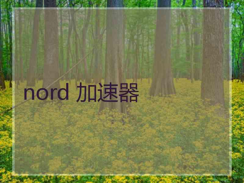 nord 加速器