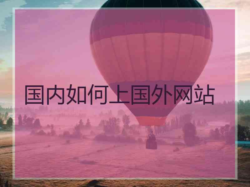 国内如何上国外网站