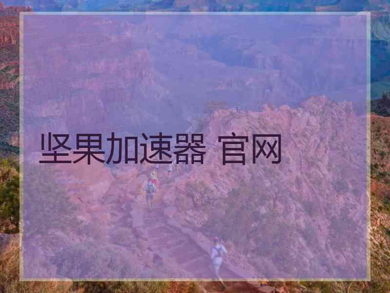 坚果加速器 官网