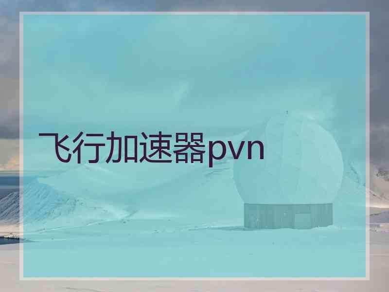 飞行加速器pvn