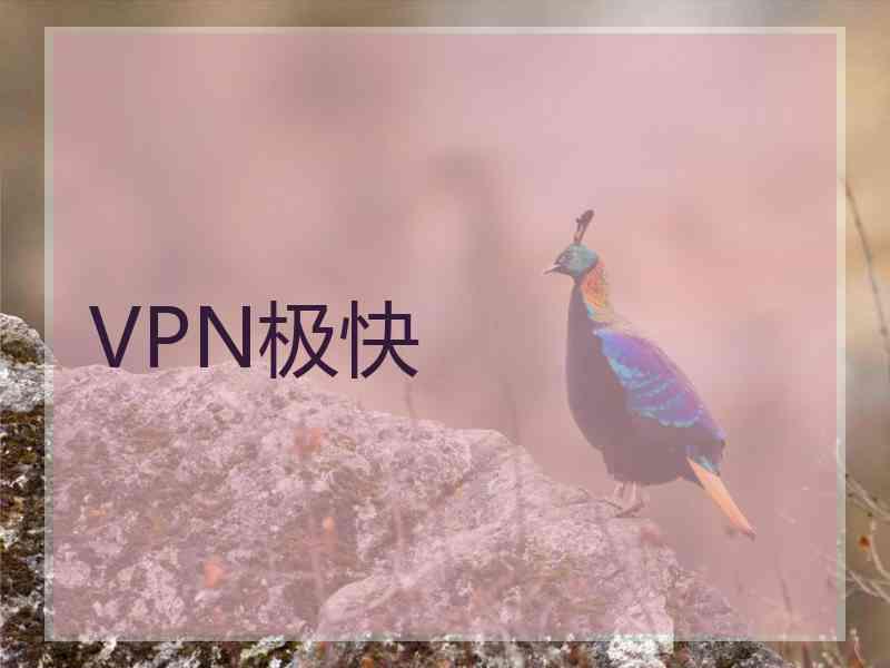 VPN极快