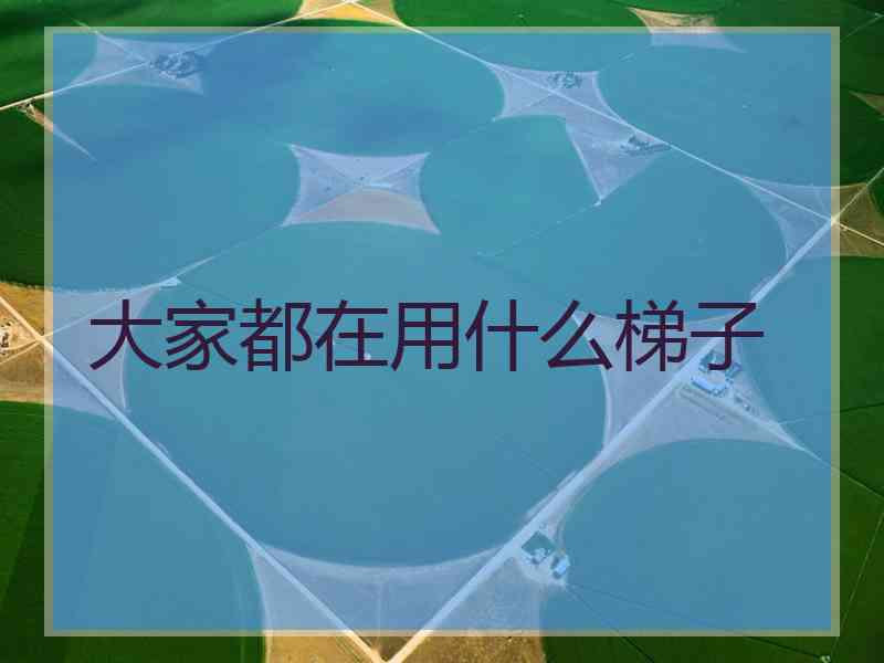 大家都在用什么梯子