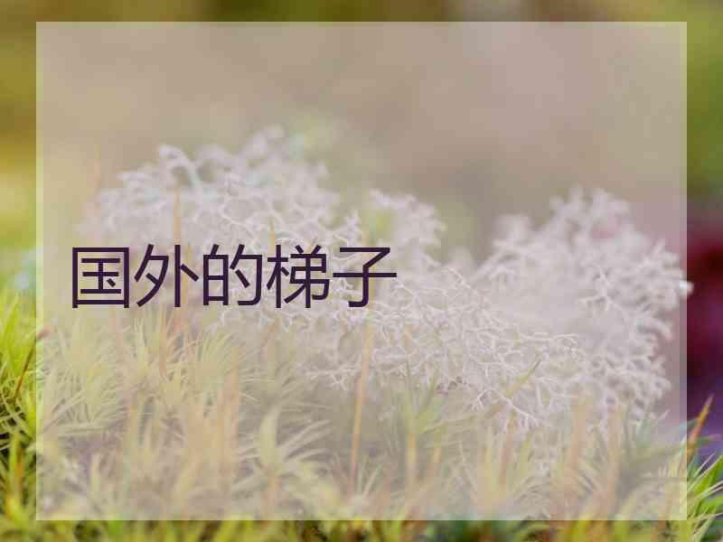 国外的梯子