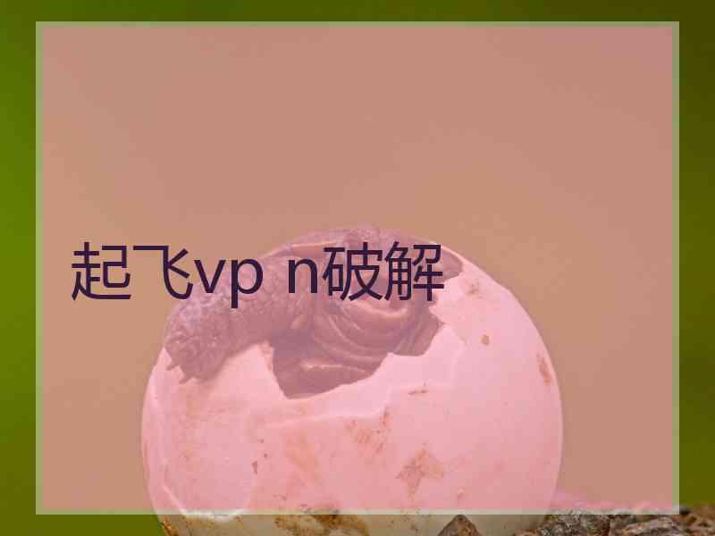 起飞vp n破解