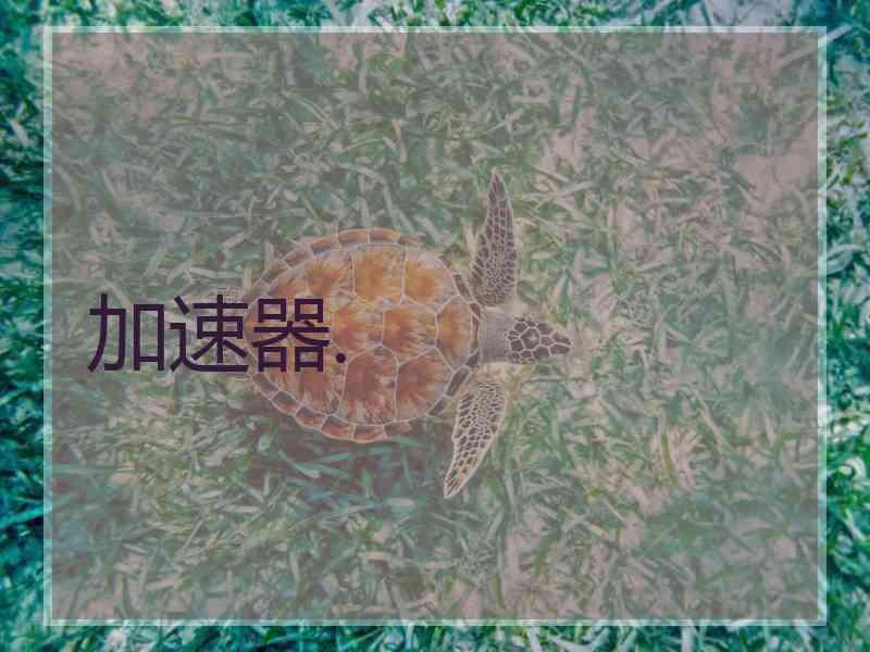 加速器.