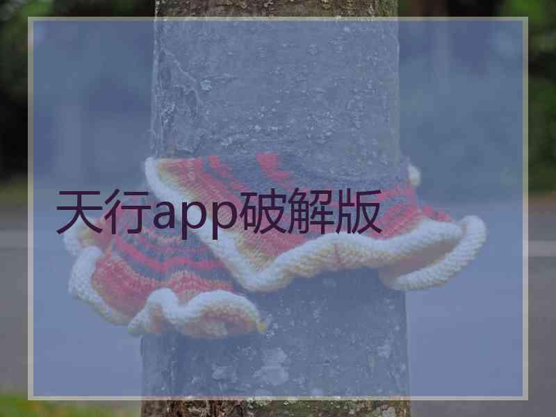 天行app破解版