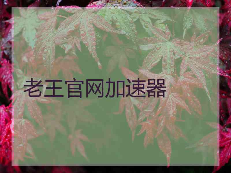 老王官网加速器