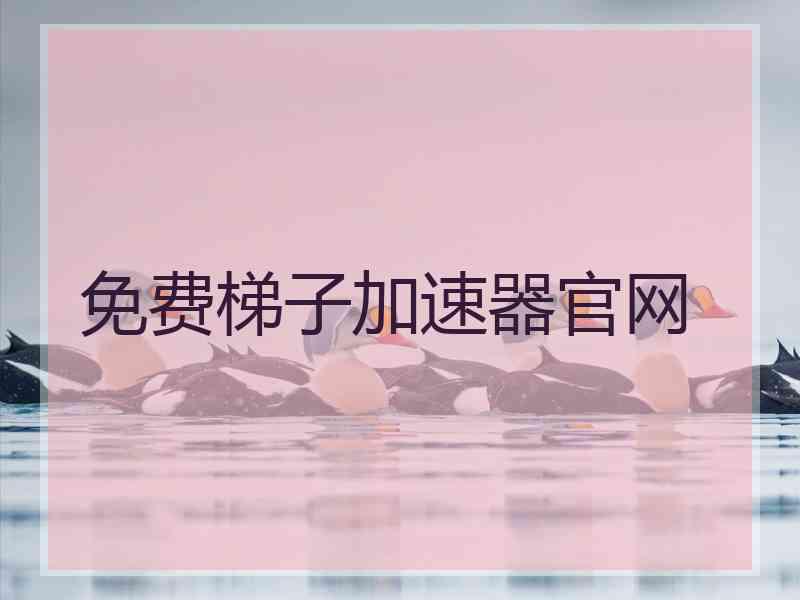 免费梯子加速器官网