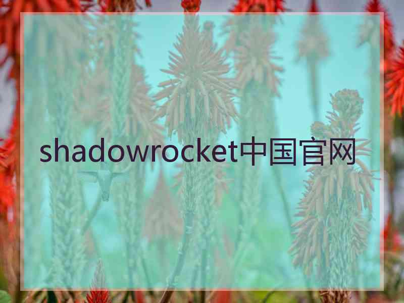 shadowrocket中国官网