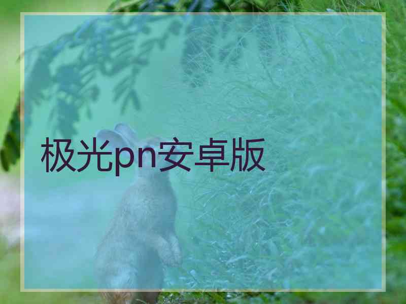极光pn安卓版