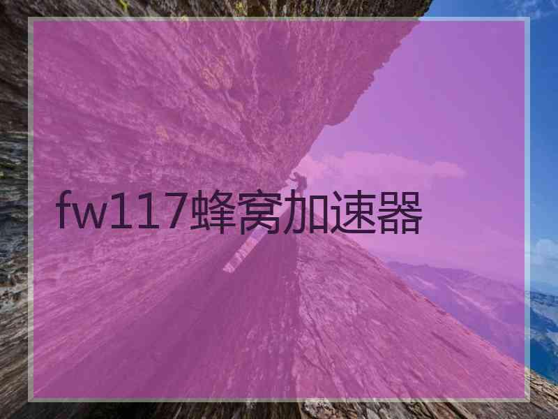 fw117蜂窝加速器