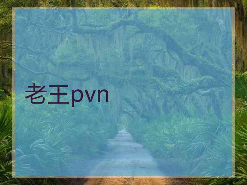 老王pvn