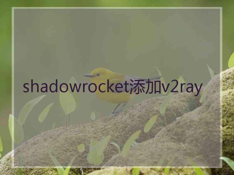 shadowrocket添加v2ray