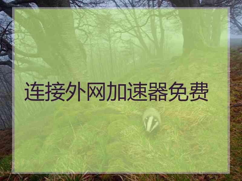连接外网加速器免费
