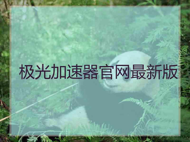 极光加速器官网最新版