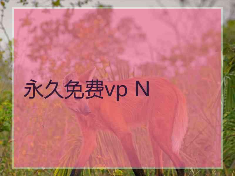 永久免费vp N
