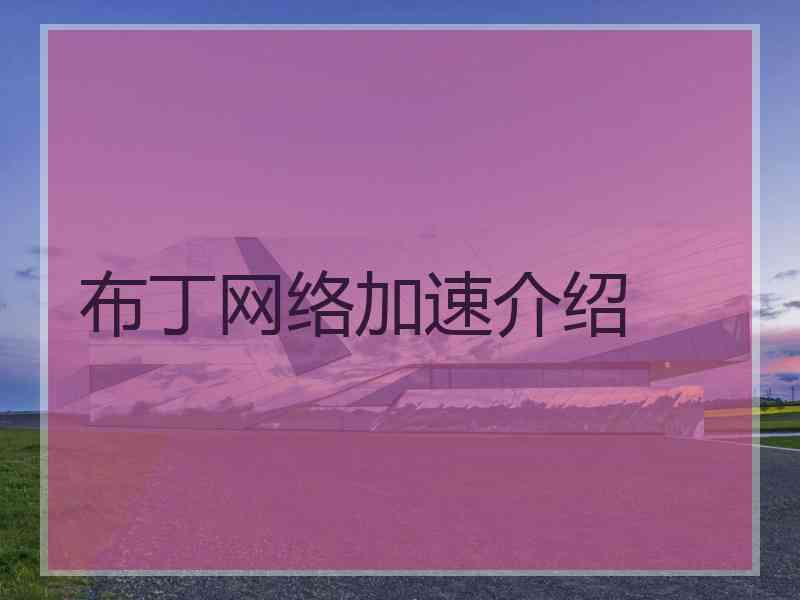 布丁网络加速介绍