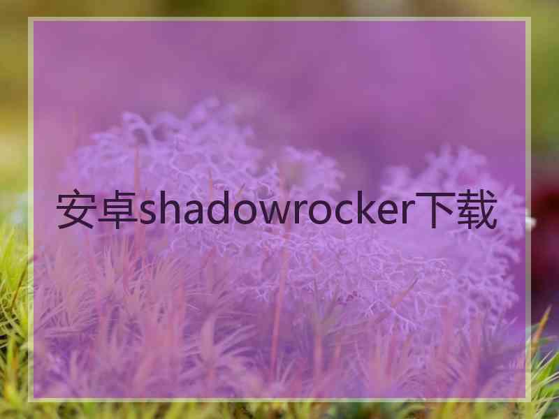 安卓shadowrocker下载