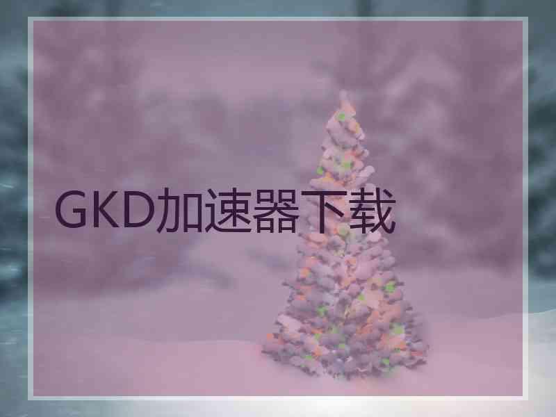 GKD加速器下载