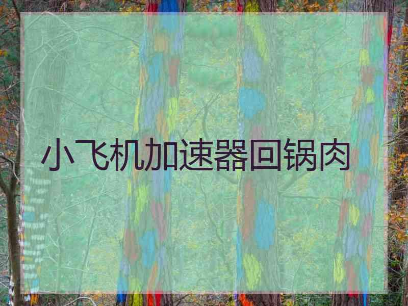 小飞机加速器回锅肉