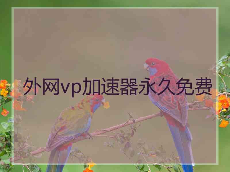 外网vp加速器永久免费