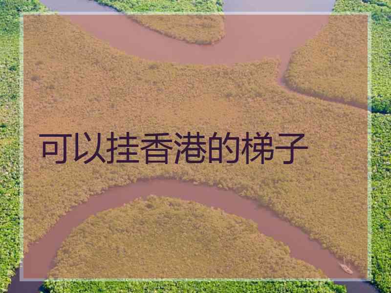 可以挂香港的梯子