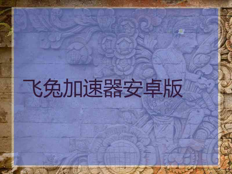 飞兔加速器安卓版