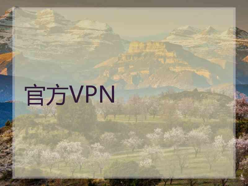 官方VPN