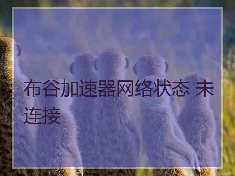 布谷加速器网络状态 未连接