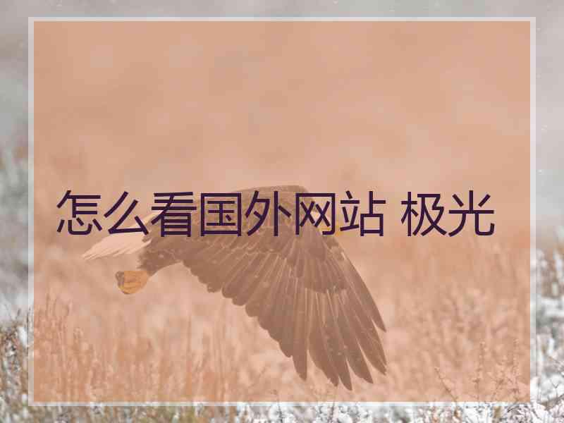 怎么看国外网站 极光