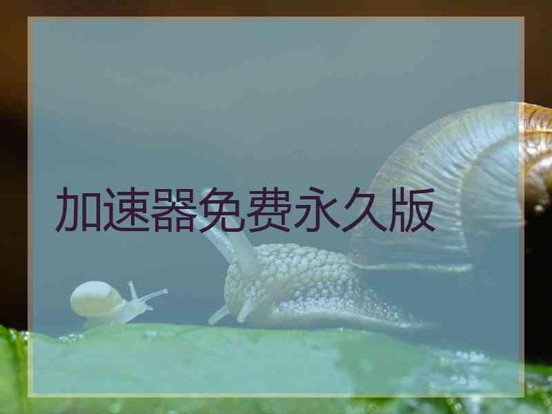 加速器免费永久版