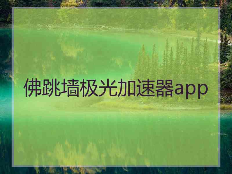 佛跳墙极光加速器app