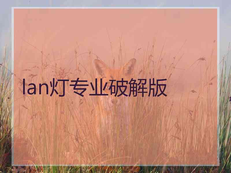lan灯专业破解版