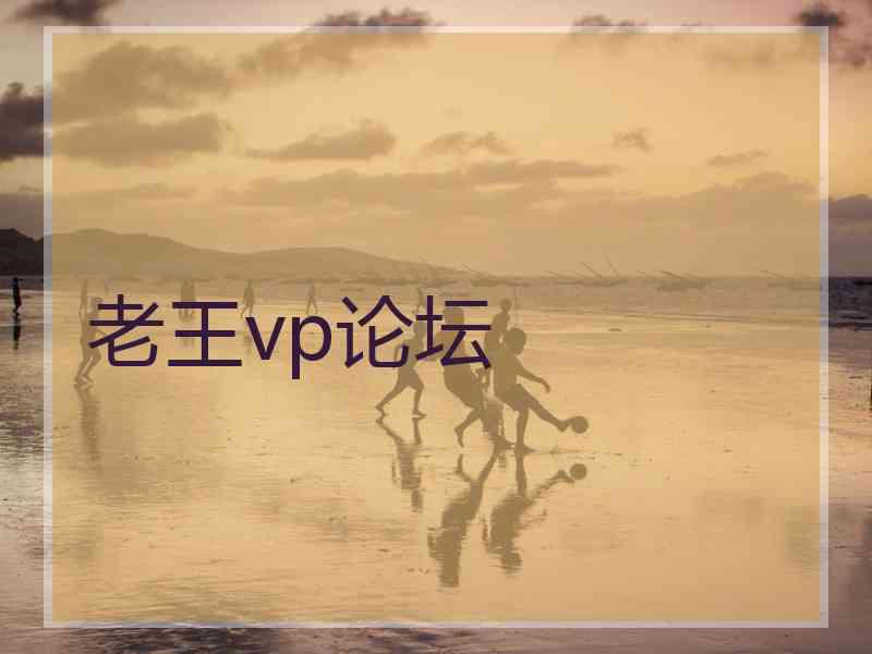 老王vp论坛