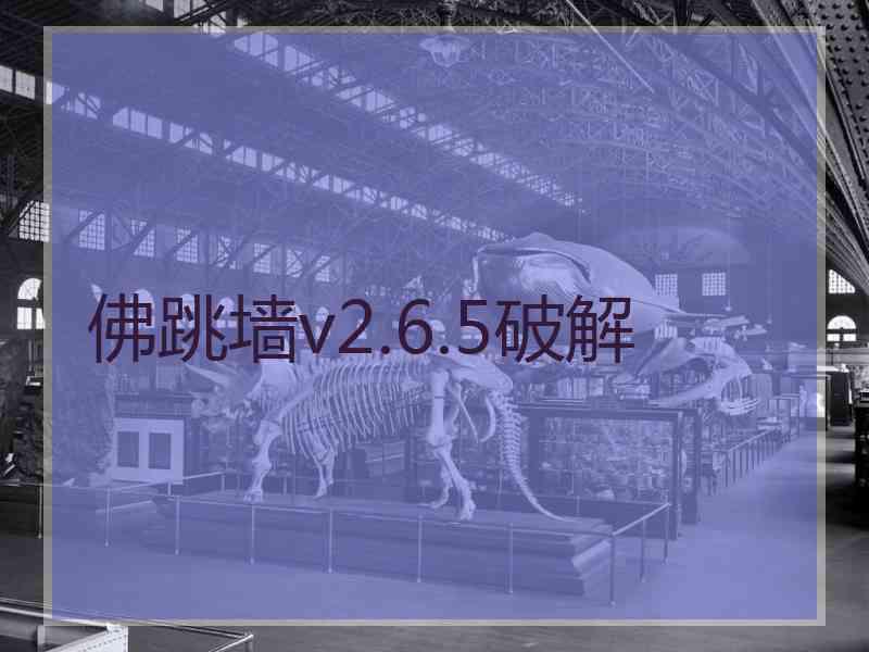佛跳墙v2.6.5破解