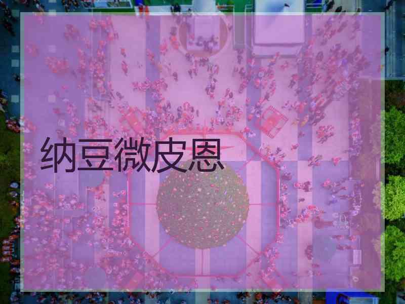 纳豆微皮恩