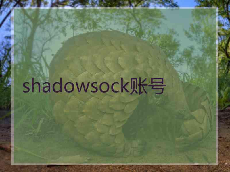 shadowsock账号