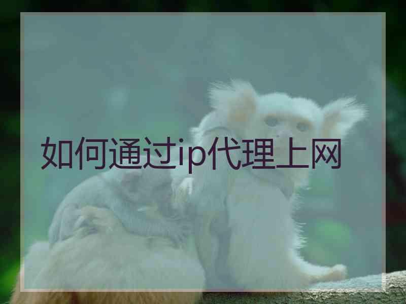 如何通过ip代理上网