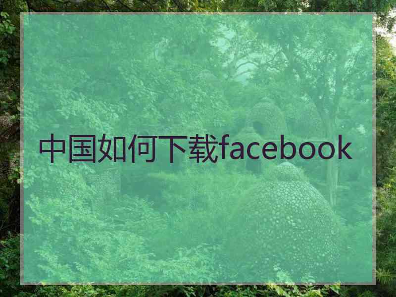中国如何下载facebook