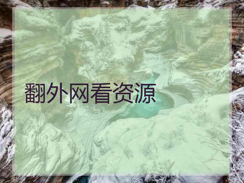 翻外网看资源