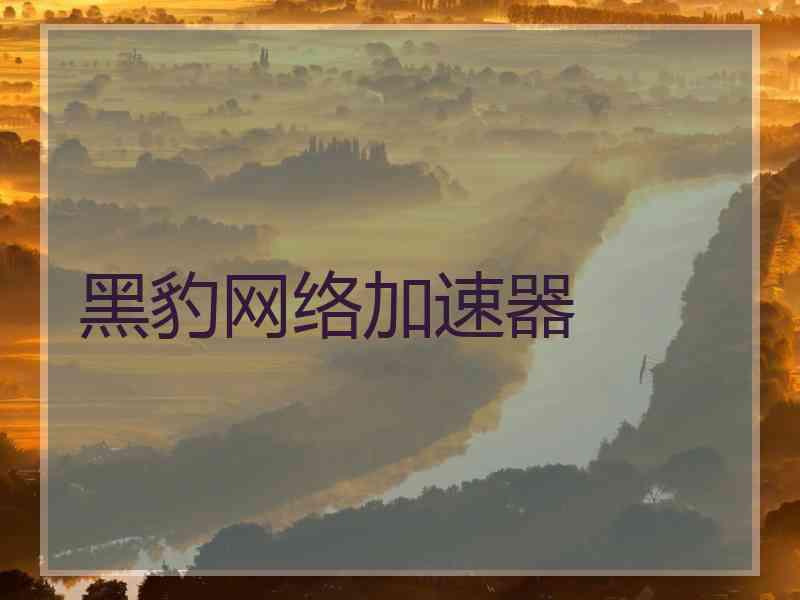 黑豹网络加速器