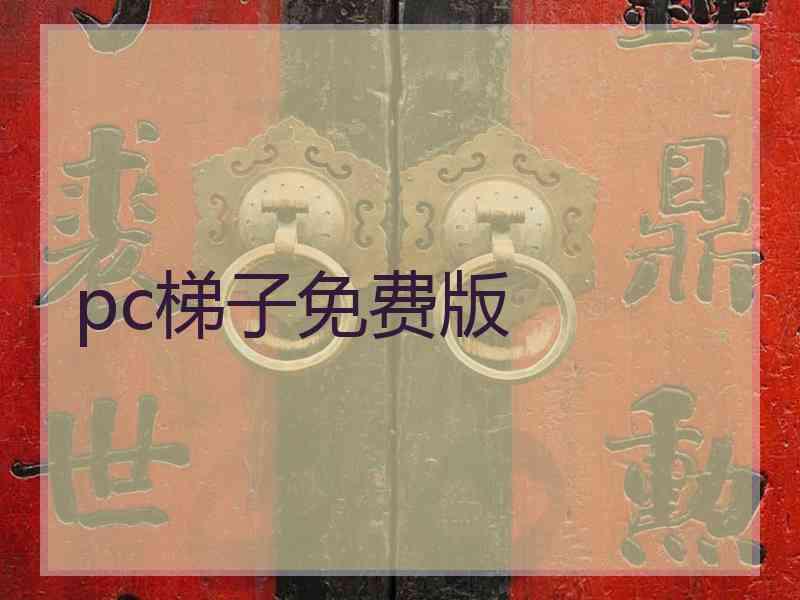 pc梯子免费版
