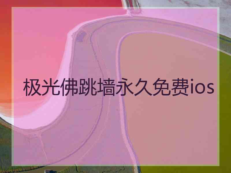 极光佛跳墙永久免费ios