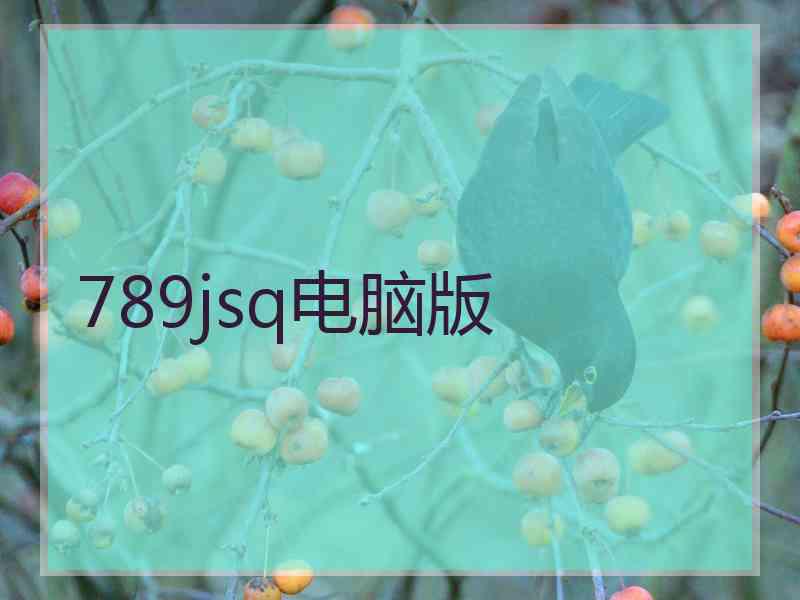789jsq电脑版