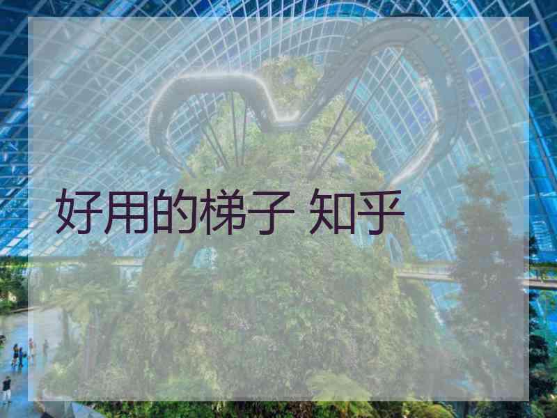 好用的梯子 知乎